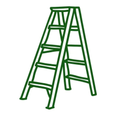 Categoría 5